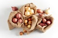 Burlap sack bags with onions Royalty Free Stock Photo