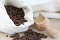 Burlap sack of coffee beans with a scoop. Royalty Free Stock Photo