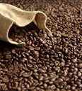 Burlap sack on fresh coffee beans Royalty Free Stock Photo