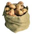 Burlap sack full of unpeeled potatoes isolated on white Royalty Free Stock Photo