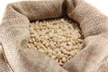 Burlap sack with pearl barley Royalty Free Stock Photo