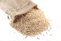 Burlap sack with pearl barley Royalty Free Stock Photo