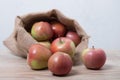 Burlap sack with rustic apples Royalty Free Stock Photo