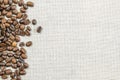 Burlap Sackcloth Canvas and Coffee Beans Photo Background. Copy