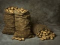 Burlap Sacks of Potatoes Royalty Free Stock Photo