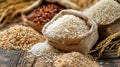 Burlap sacks of white and brown rice grains spill onto a wooden table, with rice plants and husks in the rustic backdrop.