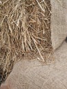 Burlap with Straw Royalty Free Stock Photo