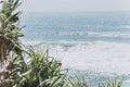 Burleigh Heads Surfing