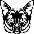 Burma Cat Vector, Peeking Cats, Cats Breed, Pet Vector portrait, Cats Head