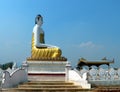 Burma Hilltop Buddha nr Namsaw