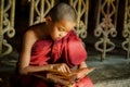 BURMA Little monk or Novice monk are reading the book in the temple of Buddhism Religion in Mandalay Myanmar. Royalty Free Stock Photo