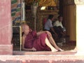 Burma monk