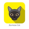 Burmese Cat, Cat breed face cartoon flat icon design