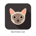 Burmese Cat, Cat breed face cartoon flat icon design