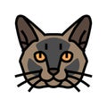 burmese cat cute pet color icon vector illustration