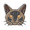 burmese cat cute pet color icon vector illustration