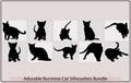 burmese cat cute pet glyph icon vector. burmese cat cute pet sign,Burmese Cat, Cat breed face cartoon flat icon design