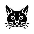 burmese cat cute pet glyph icon vector illustration