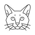 burmese cat cute pet line icon vector illustration