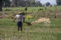 Burmese Agriculture - Myanmar (Burma)