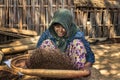 Burmese farmer woman threshes corn