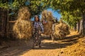 Burmese farmers carrying hays on the back