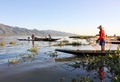 Burmese fishermen in small boats among green plants at Inle Lake, Shan State, Myanmar Royalty Free Stock Photo
