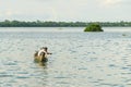 Burmese fishermen in small fishing boats near U-Bein Bridge, in Taungthaman Lake, Amarapura, Myanmar Royalty Free Stock Photo