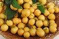 Burmese grape