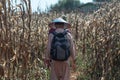 A burmese man in traditional clothing and a woman in a corn field