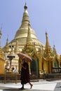 Burmese monk and Shwedagon pagoda