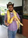 Burmese python Python bivittatus snake in reptile show Royalty Free Stock Photo