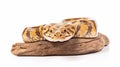 Burmese python Royalty Free Stock Photo