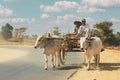 Burmese rural man driving wooden cart on road