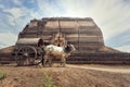 Burmese rural man driving wooden cart Royalty Free Stock Photo