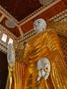 Burmese Standing Buddha Royalty Free Stock Photo