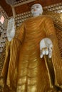 Burmese Standing Buddha