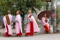 Burmese young nuns