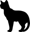 Burmilla Cat Black Silhouette Generative Ai Royalty Free Stock Photo