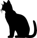 Burmilla Cat Black Silhouette Generative Ai Royalty Free Stock Photo