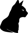 Burmilla Cat Black Silhouette Generative Ai Royalty Free Stock Photo