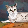Burmilla Cat Illustration Royalty Free Stock Photo