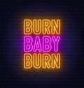 Burn Baby Burn neon lettering on brick wall background.