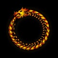 Burn dark night dragon background Royalty Free Stock Photo