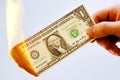 Verbrennen Sie Dollars und vernichten Sie Geld Royalty Free Stock Photo