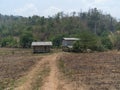 Burn down corn field