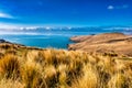 Burn dry golden tussock covered slopes of the Port Hills Royalty Free Stock Photo