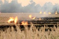 Burn dry straw in the field on the side of the road in Thailand Royalty Free Stock Photo