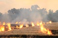 Burn dry straw in the field on the side of the road in Thailand Royalty Free Stock Photo