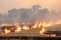 Burn dry straw in the field on the side of the road in Thailand Royalty Free Stock Photo